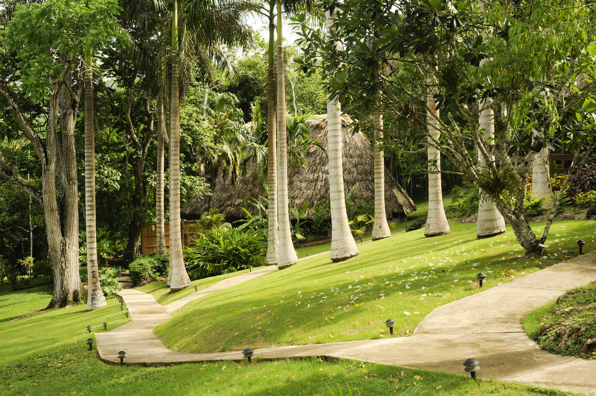 The Lodge At Chaacreek San Ignacio Exterior photo